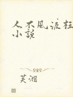 人不风流枉少年小说