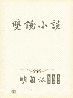 双镜小说