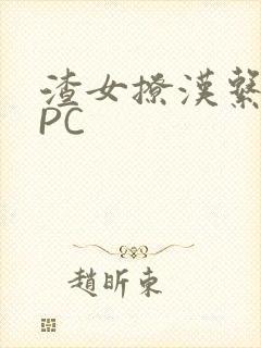 渣女撩汉系统NPC