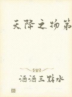 天降之物第一季