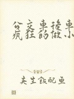 公交车后车座的疯狂的做小