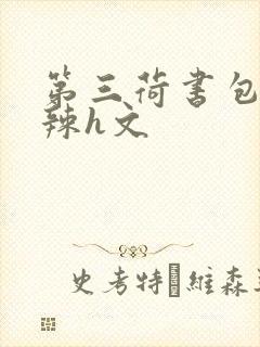 第三荷书包网高辣h文