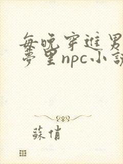 每晚穿进男神的梦里npc小说