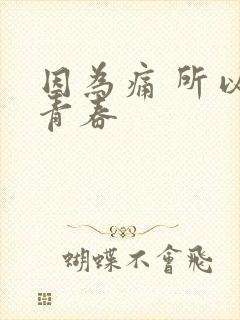 因为痛 所以叫青春