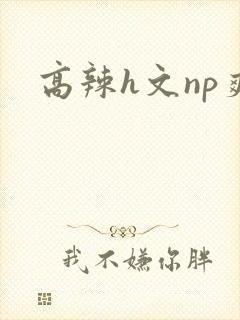 高辣h文np爽