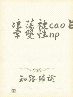 浪荡被cao日常双性np