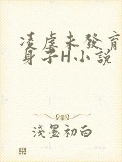 凌虐未发育的小身子H小说