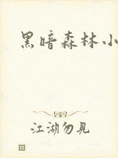黑暗森林小说