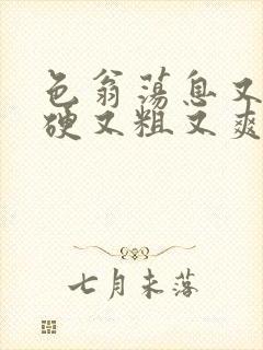 色翁荡息又大又硬又粗又爽小莹