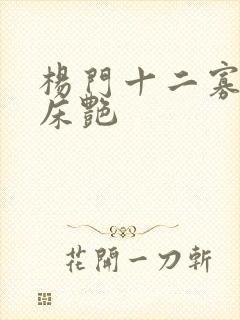 杨门十二寡妇肉床艳