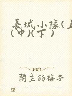长城小队(上)(中)(下 )