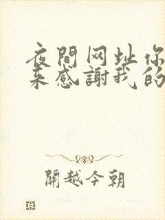 夜间网址你会回来感谢我的