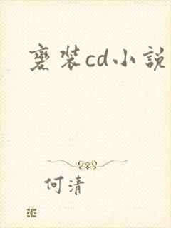 变装cd小说
