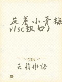 反差小青梅(1v1sc粗口)