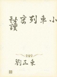 秘密列车小说阅读