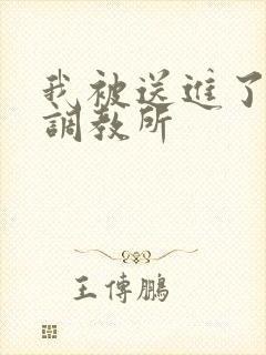 我被送进了私奴调教所