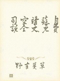 司空靖苏月汐小说全文免费阅读