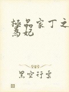 极品家丁之册母为妃