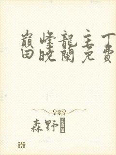 巅峰龙主丁长顺田晓兰免费阅读