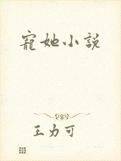 宠她小说
