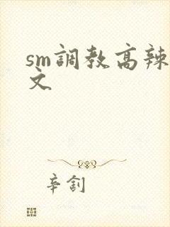 sm调教高辣h文