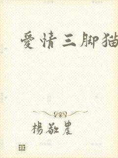 爱情三脚猫