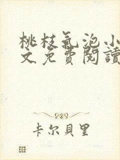 桃枝气泡小说全文免费阅读