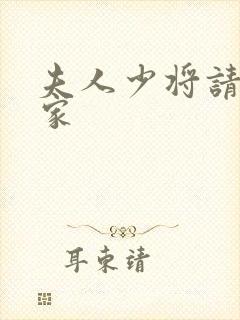 夫人少将请您回家封面