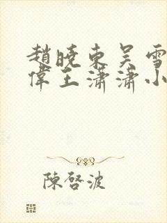 赵晓东吴雪晴郑伟王潇潇小说名字