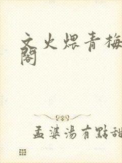 文火煨青梅笔趣阁