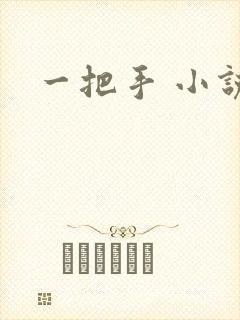 一把手 小说