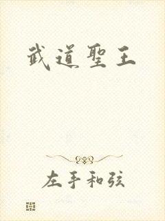 武道圣王