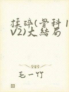 揉碎(骨科 1V2)大结局