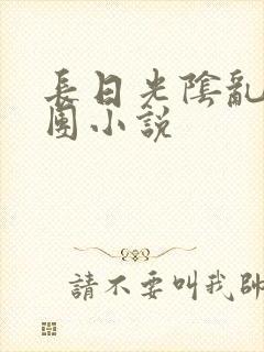 长日光阴乱作一团小说