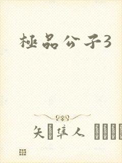 极品公子3