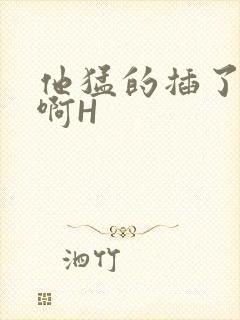 他猛的插了进去啊H