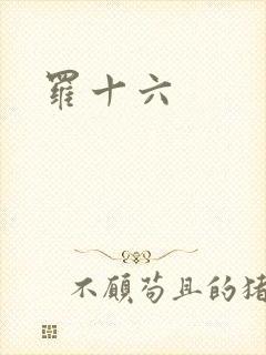罗十六