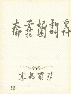 太子妃和皇帝在御花园叫什么小说