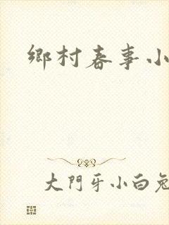 乡村春事小说
