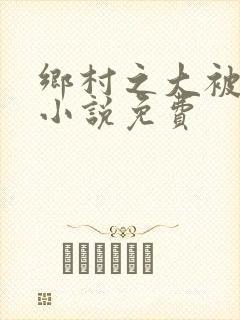 乡村之大被同眠小说免费