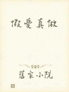 假爱真做