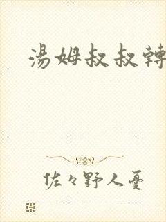 汤姆叔叔转接口