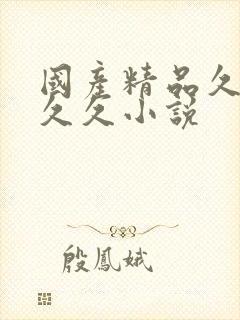 国产精品久久久久久小说