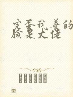 完蛋我养的小白脸是大佬