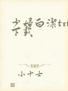 少妇白洁txt下载