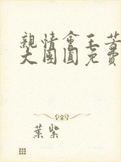 亲情会王芳高敏大团圆免费阅读