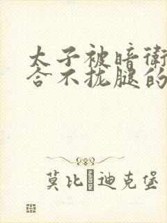 太子被暗卫c到合不拢腿的后果