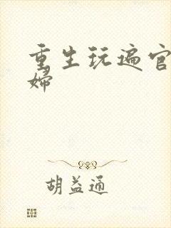 重生玩遍官场贵妇