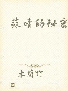 苏晴的秘密小说