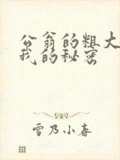 公翁的粗大放进我的秘密